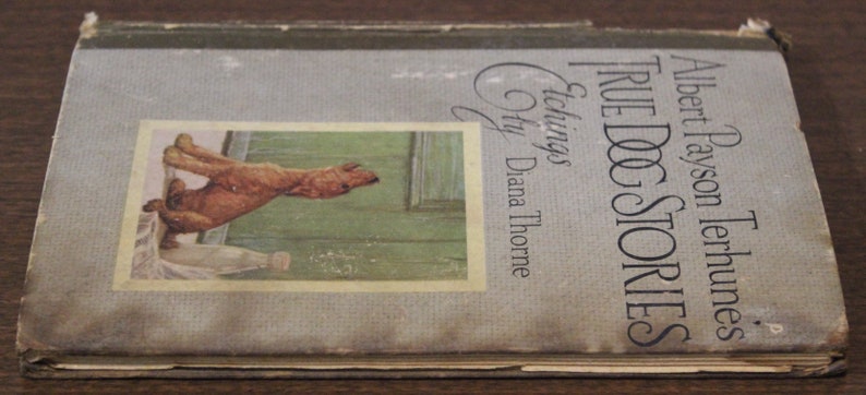 May include: A vintage book titled "True Dog Stories" by Albert Payson Terhune. The cover features a black and white etching of a dog by Diana Thorne.
