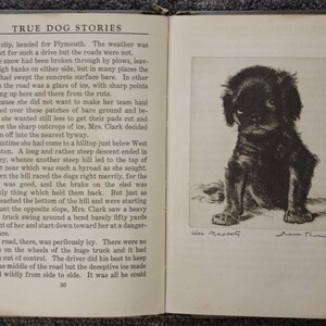 May include: Black and white illustration of a small black dog sitting with its paws crossed. The illustration is titled "His Majesty" and signed "Diana Thomas".
