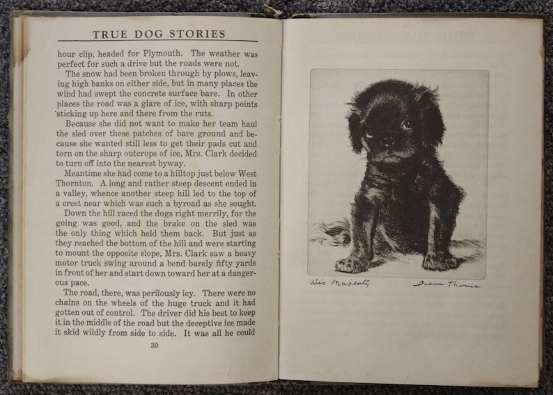 May include: Black and white illustration of a small black dog sitting with its paws crossed. The illustration is titled "His Majesty" and signed "Diana Thomas".