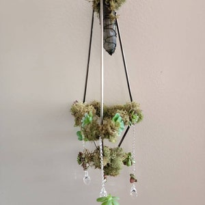 Moss, Faux Succulents and Crystal Suncatcher Sun Catcher Crystal Rainbow Decor