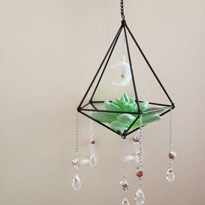 Plump Succulent Suncatcher Sun Catcher Crystal Rainbow Decor