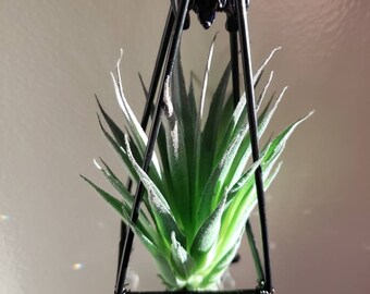 Blue Sandstone Bat and Faux Agave Suncatcher Sun Catcher Crystal Rainbow Decor