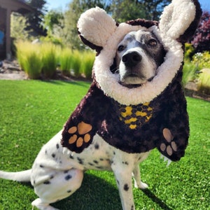Honeybear Bear Embroidered Dog Costume Scarf or Snood