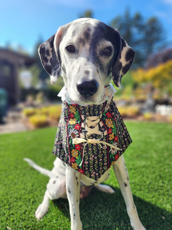 Dirndl inspiriertes Hundehalstuch - Etsy sterreich