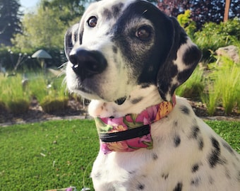 Spring Tulips Dog Collar - MULTIPLE SIZES AVAILABLE