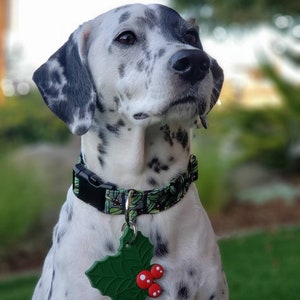 May include: A dalmatian dog wearing a green and black patterned collar with a green holly leaf and red berry dog tag.