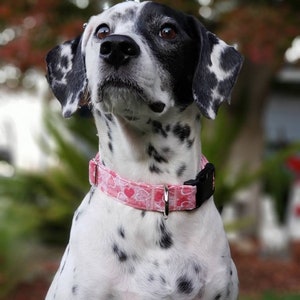 Glittery Hearts Collar and Leash - MULTIPLE SIZES AVAILABLE