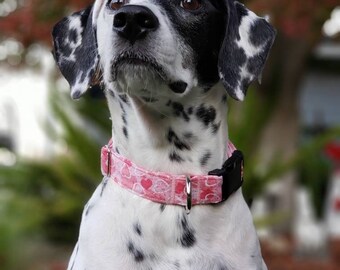 Glittery Hearts Collar and Leash - MULTIPLE SIZES AVAILABLE