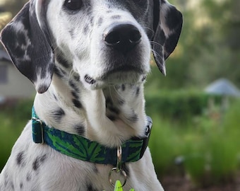 Marijuana Pot Acrylic Dog ID tag and Dog Collar