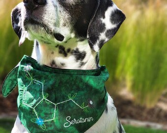 Serotonin Dog Bandana