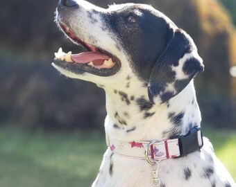 Hot Pink and Purple Bat Dog Collar - MULTIPLE SIZES AVAILABLE