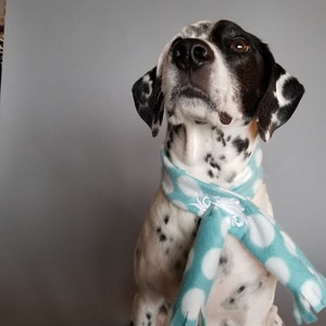 Blue and White Polka dotted Fleece Scarf with Embroidered accent- Human and Dog set or individually