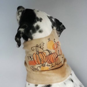 Fall Pumpkin Patch Embroidered Dog Scarf or Snood