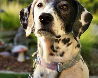 Easter Pastel Plaid Leash and Collar - MULTIPLE SIZES AVAILABLE