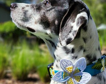 Blue Plumeria Flower Hawaiian Sturdy Dog Leash, Collar, Flower Collar Accessory