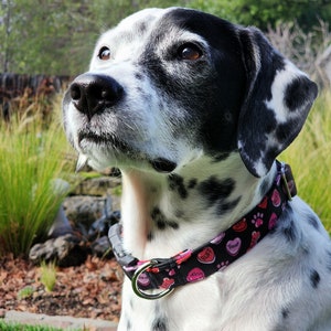 Collier et laisse Dog Conversation Hearts pour la Saint-Valentin - PLUSIEURS TAILLES DISPONIBLES