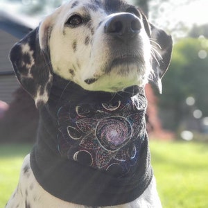 Galactic Moon Mandala Embroidered Dog Scarf or Snood