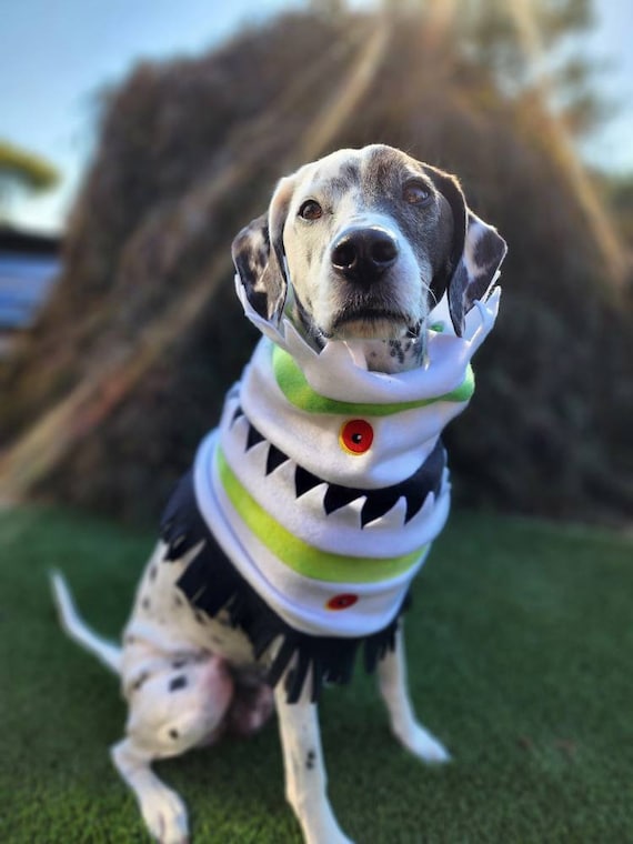 Beetlejuice Snake Costume