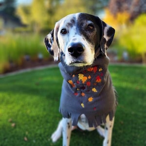 Fall Leaves Embroidered Dog Scarf or Snood