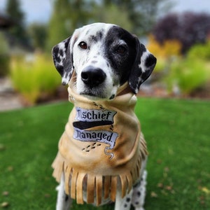 Mischief Managed Fleece Dog Embroidered Dog Scarf or Snood