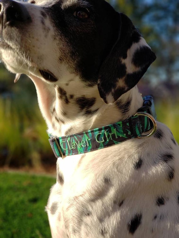 Clever Girl Raptor Eye Jurassic Park Inspired Dog Collar Etsy