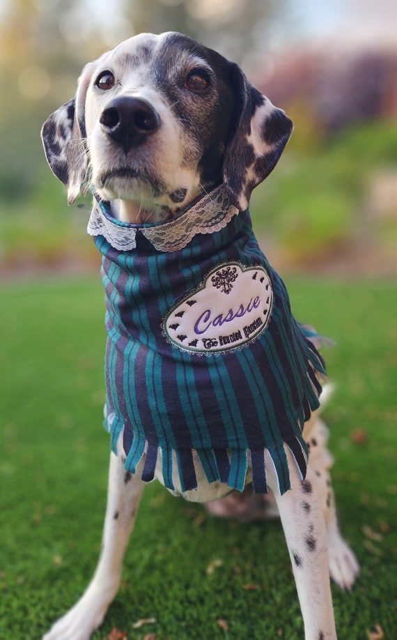 Haunted mansion dog collar cheap