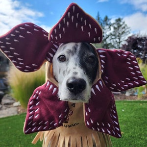 Etsy dog dresses hotsell