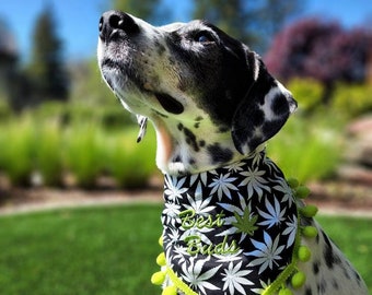 Best Buds GLOW in the Dark Marijuana Leaves Dog Bandana