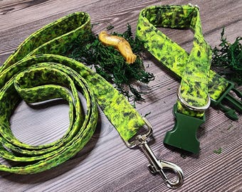 Moss Dog Collar and Leash - MULTIPLE SIZES AVAILABLE