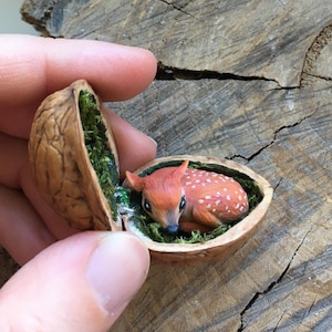 Miniature deer in walnut shell, woodland animal gift, tiny forest diorama, polymer clay fawn keepsake
