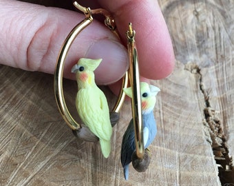 Cockateil parrot hoop earrings, Parrot earrings, Birds earrings, tropical bird earrings, tropical jewelry, pet bird earrings