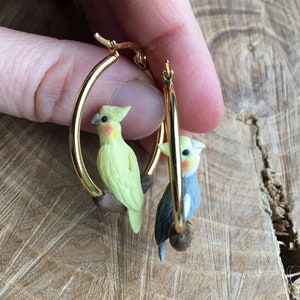 Cockatiel earrings discount