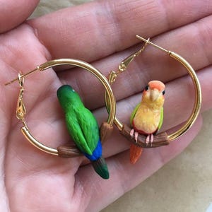 May include: A pair of gold-tone hoop earrings featuring miniature sculpted parrots perched on brown branches. One earring displays a green parrot with blue tail feathers, while the other features a yellow and orange parrot with green wings.