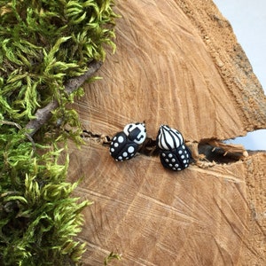 Beetle earrings, beetle studs, studs earrings, bug earrings, beetle jewelry, insect jewelry, entomology gifts