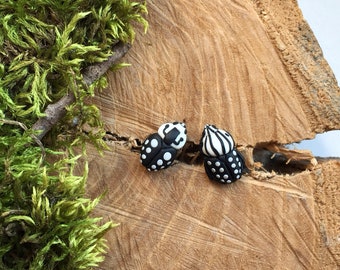 Beetle earrings, beetle studs, studs earrings, bug earrings, beetle jewelry, insect jewelry, entomology gifts