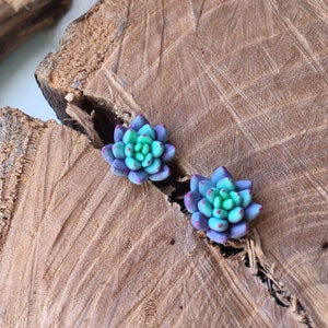 Succulent mint violet stud, succulents earrings, polymer clay jewelry, AVAILABLE