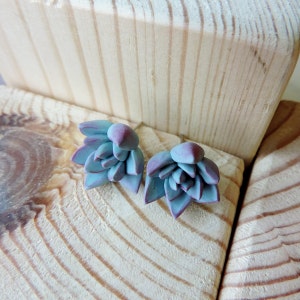 Mint succulent earrings, Polymer clay earrings, Cactus earrings, Succulent jewelry, Polymer clay jewelry, Plant earrings post,