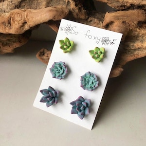 Set of succulent stud earrings, polymer clay jewelry, succulents earrings, AVAILABLE