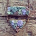 see more listings in the Succulent necklace section