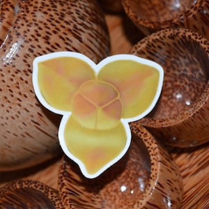 Romduol Cambodian Flower Vinyl Sticker