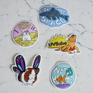 Specialty Pet Care Bulk Vinyl Stickers