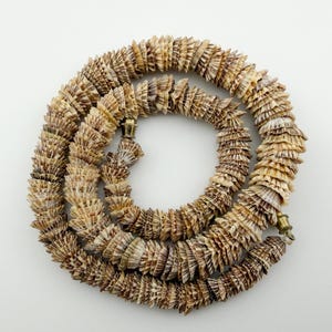 May include: A necklace composed of numerous small, conical, brown and cream-colored seashells strung together in a continuous spiral pattern. The strand features a small, metallic gold-toned cylindrical clasp at the end to secure the piece.