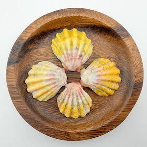 May include: A wooden bowl holds four colorful seashells. The shells are yellow, pink, and white, arranged in a circular pattern. The bowl is made of dark wood and sits on a white surface.