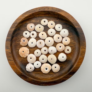 Hawaiian Puka Shells | 30 Drilled Puka Shells | Hawaii Jewelry Making Beads | 9-13 mm | Colorful Ocean Gems | 4038