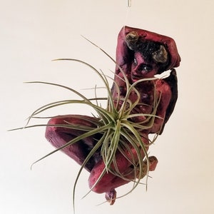 Imp fairy, air plant holder