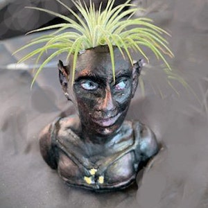 Puede incluir: Un busto de color oscuro de una cara con orejas puntiagudas, que sostiene una planta verde. La cara tiene ojos azules y una expresión sonriente. El busto tiene un área de pecho detallada con acentos amarillos. La planta tiene hojas largas y delgadas de color verde.