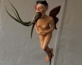 Puking fairy air plant holder
