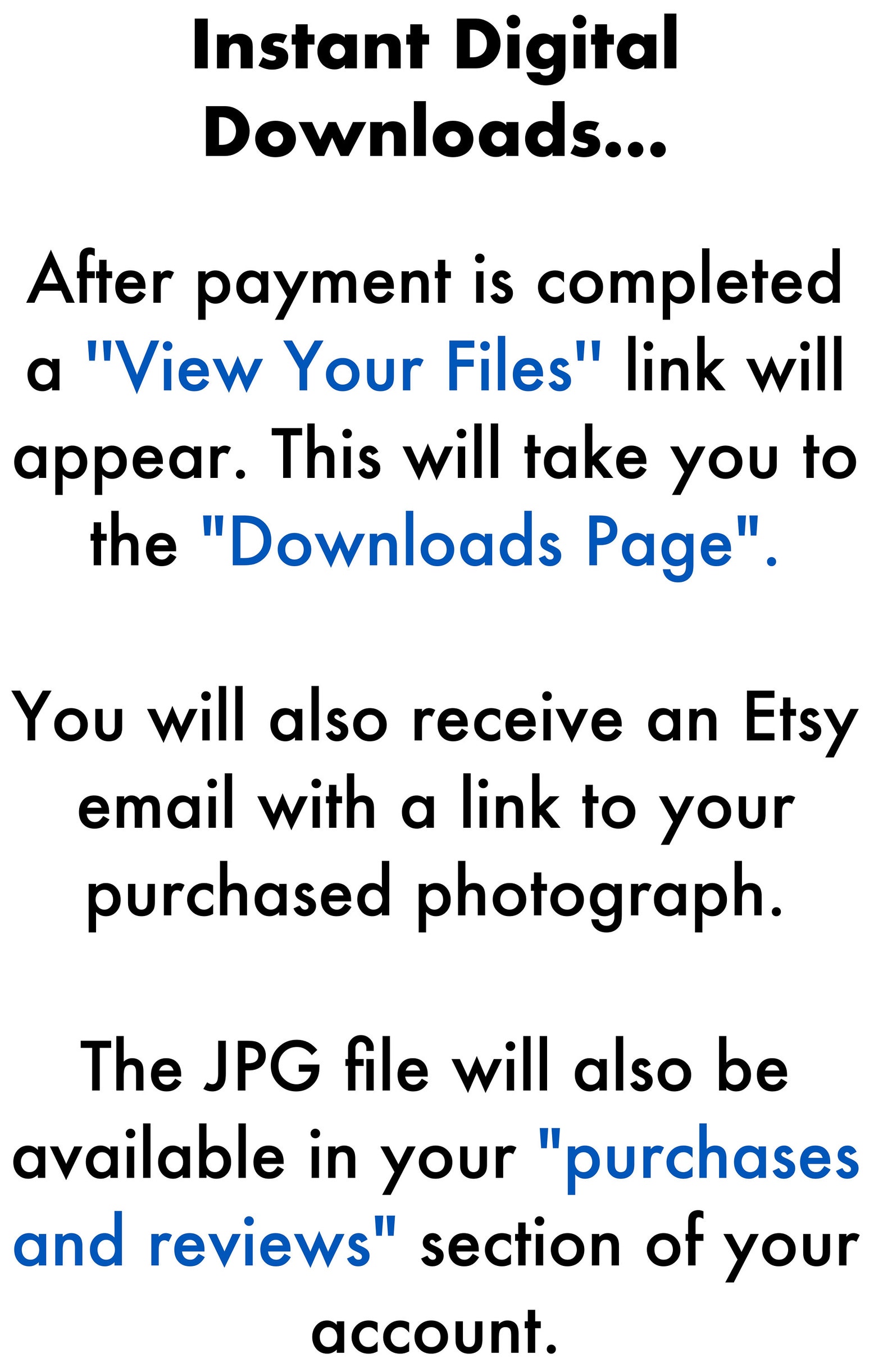 Instant Download Photo, Vintage Mannequin Legs, DIY Print, Wearing