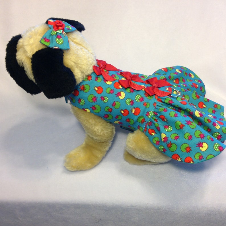Dog Dress Rabbit Pet Cat Colorful Tomatoes on Blue Harness Dress Size XS-M with Matching Hair Bow for Small Pets Dogs Ready to Ship