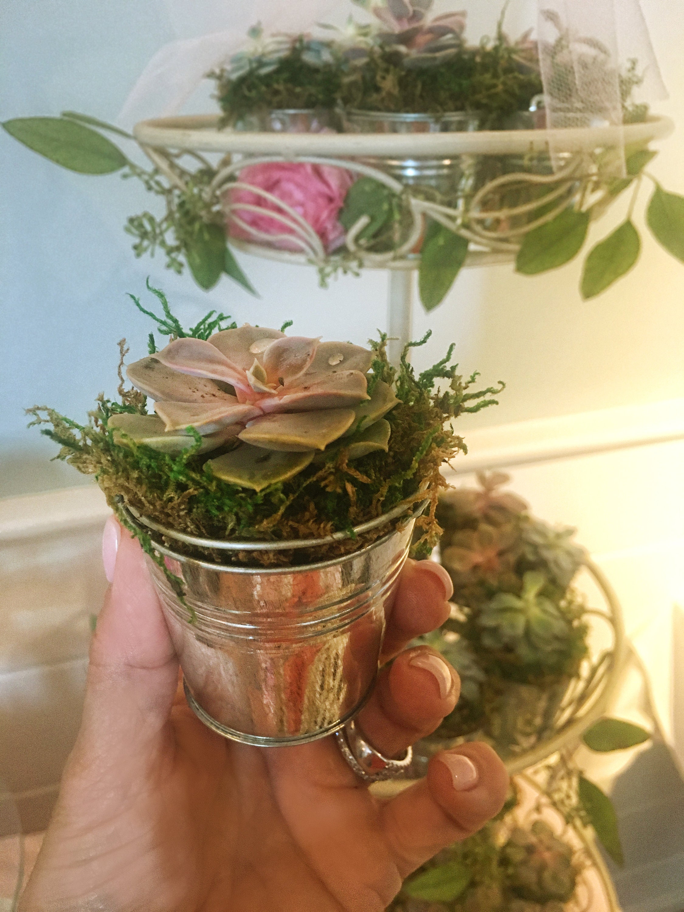 Mini galvanized buckets Succulent Favors 50 DIY Favors Etsy